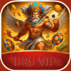 Logo da BR9 VIP